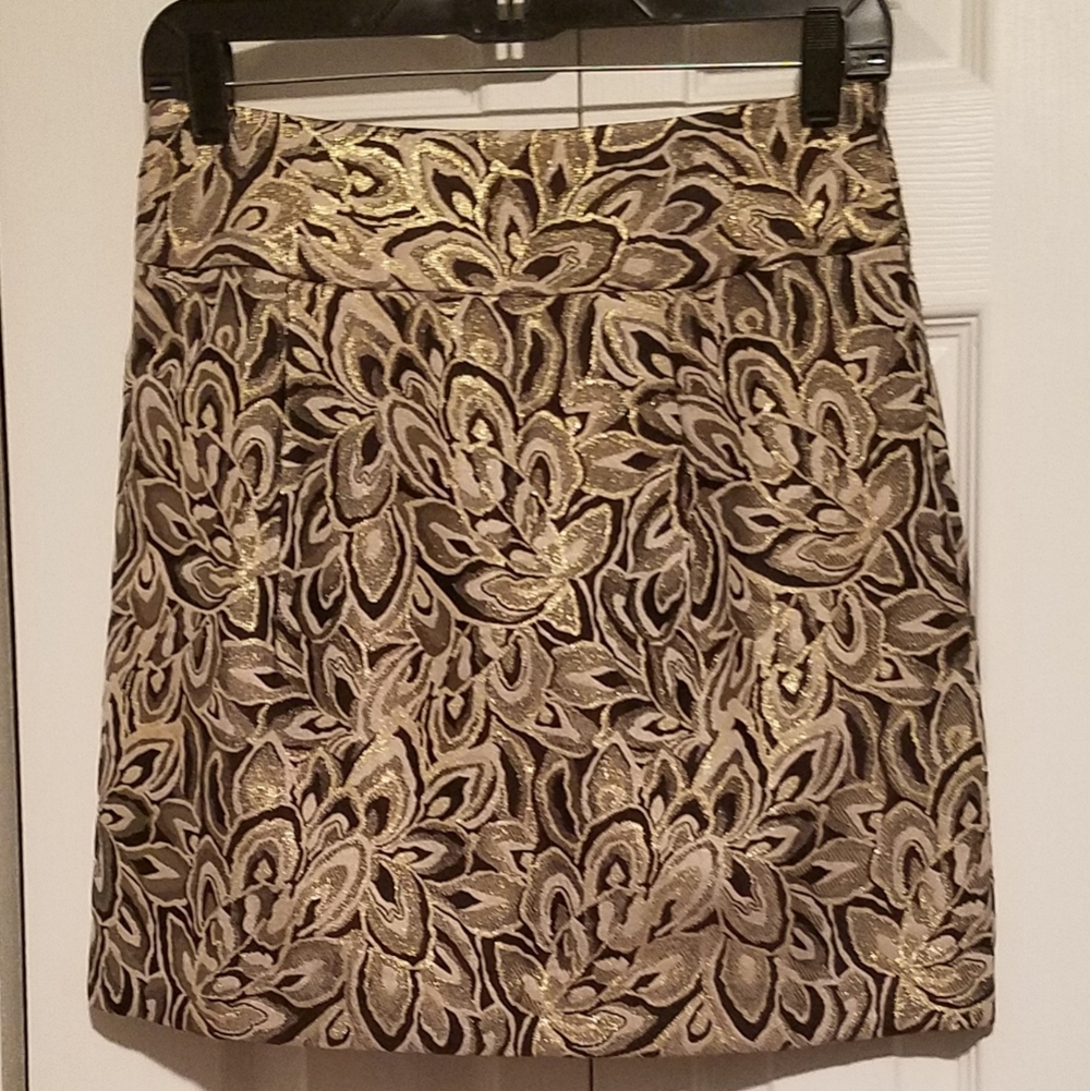 Ann Taylor Loft Pencil Skirt (B1)